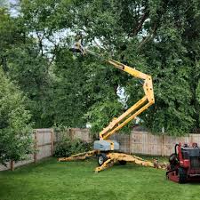 Best Aeration Services  in Harrogate, TN