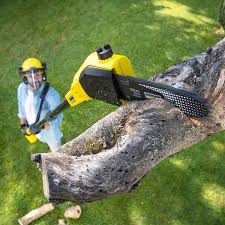 Lawn Irrigation Installation and Maintenance in Harrogate, TN