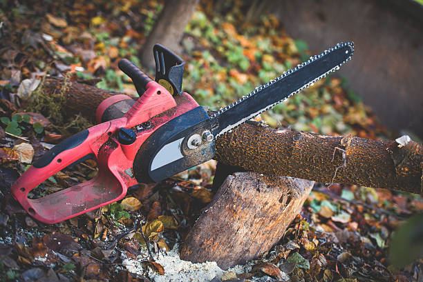 Best Pest Control for Lawns  in Harrogate, TN